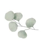 image-box-11.jpg image-box-11.jpg